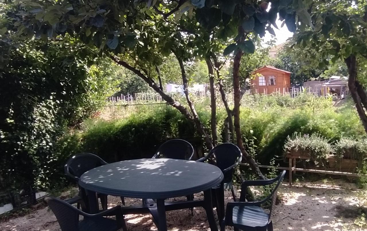 Apartman Greta Sukošan Exterior foto
